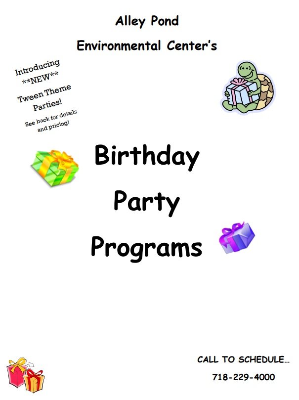 birthday party event program template