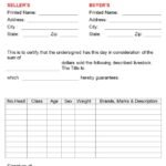 livestock bill of sale form